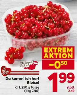 Billa Ribisel Angebot