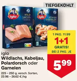 MPreis Iglo wildlachs, kabeljau, polardorsch oder garnelen Angebot