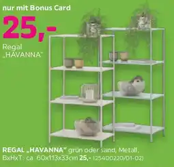 Mömax Regal havanna Angebot