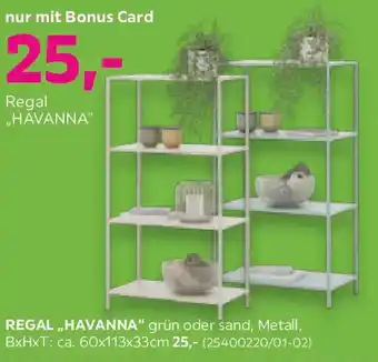 Regal havanna