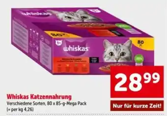 Interspar Whiskas Katzenfutter Angebot