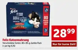 Interspar Felix Katzenfutter Angebot