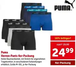Interspar Puma Herren-Pants Angebot