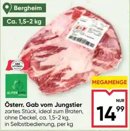 Maximarkt Österr. Gab vom Jungstier Angebot