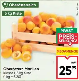 Maximarkt Oberösterr. Marillen Angebot