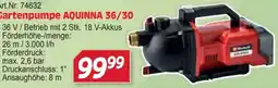 Zgonc Gartenpumpe AQUINNA 36/30 Angebot