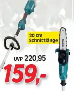 Zgonc 20 cm Schnittlänge Angebot