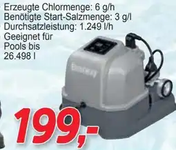 Zgonc Bestway Chlorgenerator Angebot