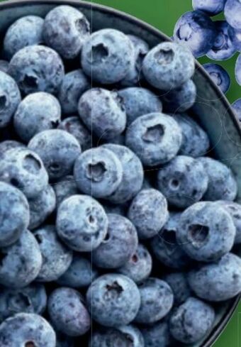 Lidl Heidelbeeren Angebot