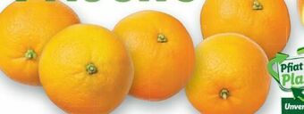 Lidl Orangen Angebot