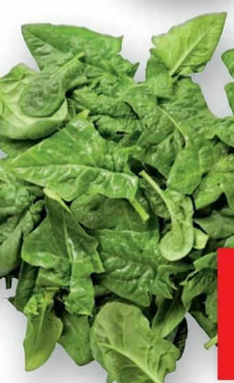 Lidl Spinat Angebot