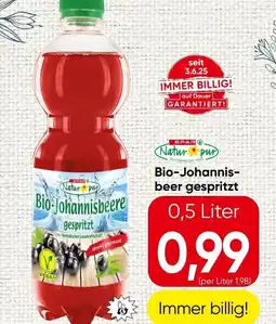 Spar Bio-Johannisbeere gespritzt Angebot