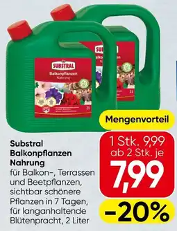 Spar Substral Balkonpflanzen Nahrung Angebot