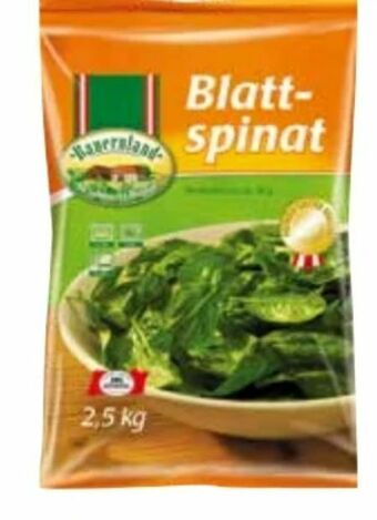 Transgourmet Blattspinat Angebot