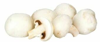 Transgourmet Champignons Angebot