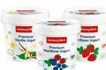 Transgourmet Premium Fruchtjoghurt Angebot