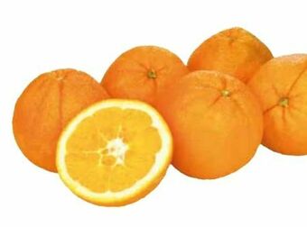 Transgourmet Bio Orangen Angebot