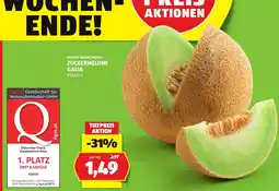 Hofer Zuckermelone Galia Angebot