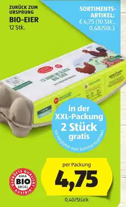 Hofer Bio-Eier Angebot