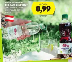 Hofer Bio-Saft Gespritzt Angebot