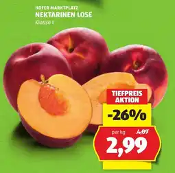 Hofer Nektarinen lose Angebot