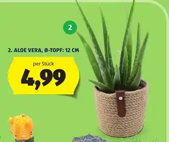 Hofer Aloe Vera Angebot