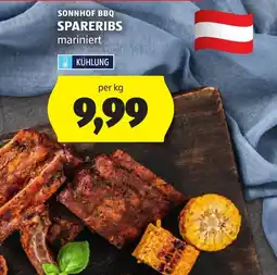 Hofer Sonnhof bbq spareribs mariniert Angebot