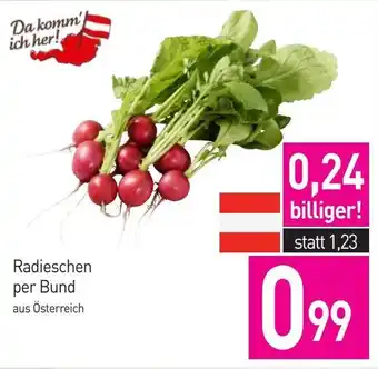 Sutterlüty Radieschen per Bund Angebot