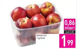 Sutterlüty Nektarinen Angebot