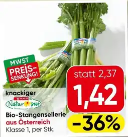Eurospar knackiger Natur pur Bio-Stangensellerie Angebot
