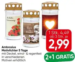 Eurospar Ambrosius Motivlichter Angebot