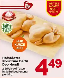 Billa Hofstädter Fair zum Tier! Duo Hendl Angebot