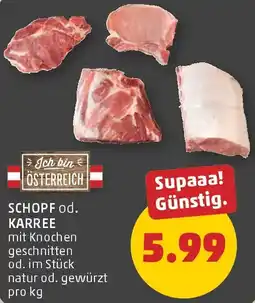 PENNY Schopf od. karree Angebot