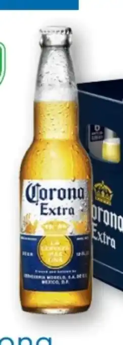 T&G Corona Extra Bier Angebot
