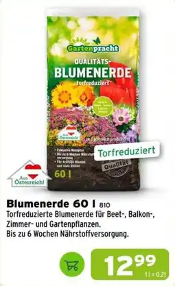 Salzburger Lagerhaus Gartenpracht Blumenerde Angebot
