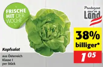 Nah&Frisch Kopfsalat Angebot