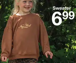 Zeeman Sweater Angebot