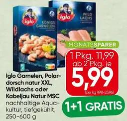 Spar Iglo Garnelen, Polar-dorsch natur XXL, Wildlachs oder Kabeljau Natur MSC Angebot