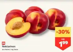 MPreis M Nektarinen Angebot