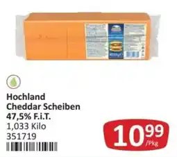 Kastner Hochland Cheddar Scheiben Angebot