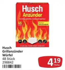 Kastner Husch Grillanzünder Würfel Angebot