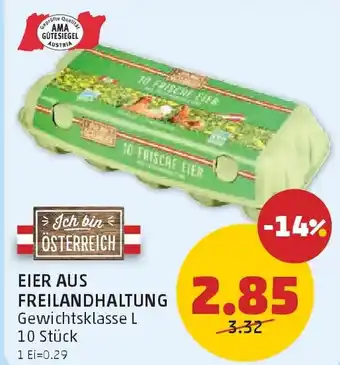 PENNY Eier aus freilandhaltung Angebot