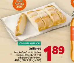 Billa Grillbrot Angebot