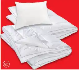 Matratzen Concord Polster Angebot