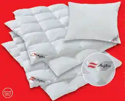 Matratzen Concord Mono-Steppbett Ganzjahresbett Angebot