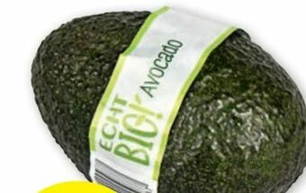 Avocado