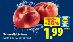 Lidl Saturn nektarinen Angebot