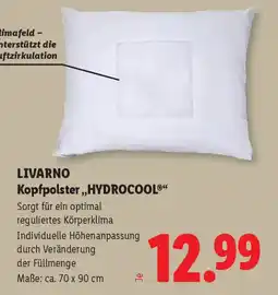 Lidl Livarno kopfpolster hydrocool Angebot