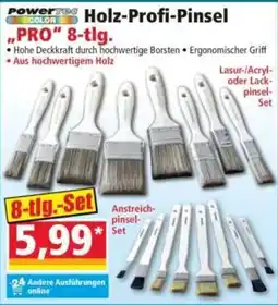 Norma PowerTec Holz-Profi-Pinsel Angebot