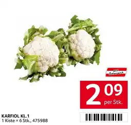 Transgourmet Karfiol KL.1 Angebot